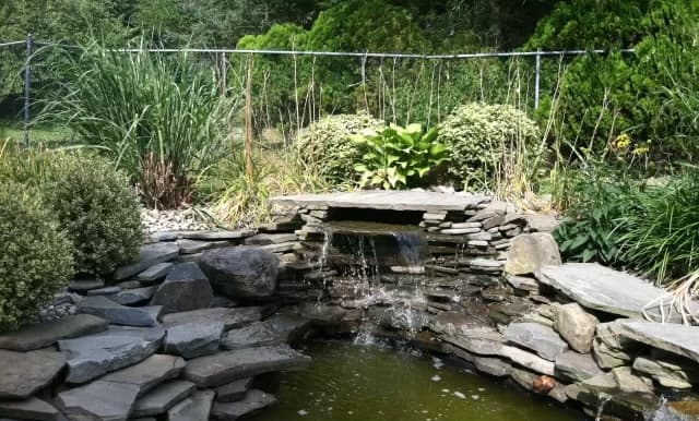 Ponds and Water Features